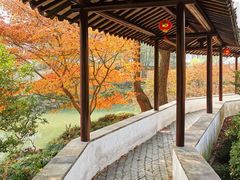 -上海醉白池公园