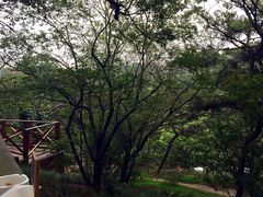 怡堡——阿兹凯乐西餐厅-阿兹凯乐·老洋房西餐