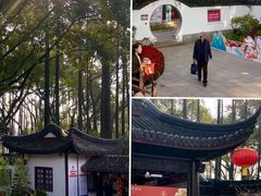-上海醉白池公园