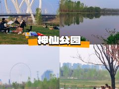 -沣东·沣河生态景区