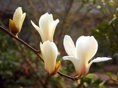 -红莲湖旅游度假区