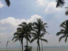 -深圳湾公园(南山区)