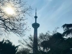 -南京古林公园