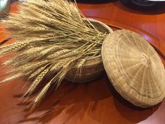 -长兴岛郊野公园农场食堂