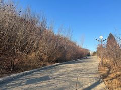 -南翠屏公园