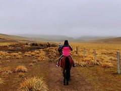 -山丹皇家马场