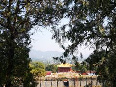 -香山公园