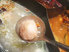 奔驰锅底-蜀大侠火锅(森兰花园城店)