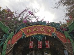 -瑞丽独树成林风景区