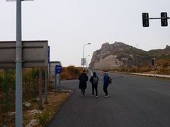-洋山深水港