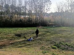 -白鹭湾湿地公园