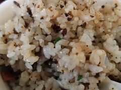 -蘑统田下·野生菌火锅