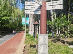 -大兴滨河森林公园