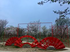 -天王浮山樱花园