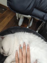 -兮奈ネイル美甲美睫·皮肤管理