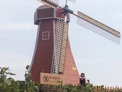-金卉庄园