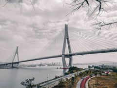-芒洲湿地公园