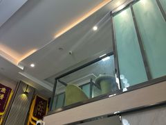 -半岛宠物医院24小时(科华中路店)