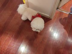 -麦度量贩式KTV(中联广场店)