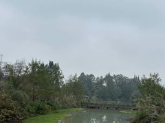 -桤木河湿地公园