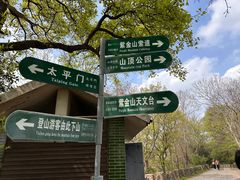 -紫金山山顶公园
