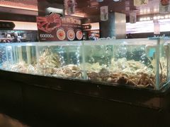 -紫阳海鲜楼·传承闽味(长乐路总店)