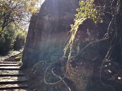 -山王坪喀斯特国家生态公园