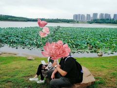 -丁香湖公园