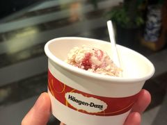 哈根达斯-四海一家自助餐(益田假日广场店)