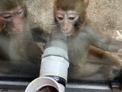 -北京鹿世界主题园