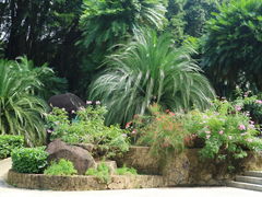 -深圳市中科院仙湖植物园