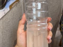 -洪馨椰子