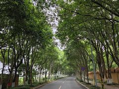 -河姆渡遗址博物馆