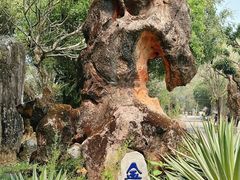 -云南勐巴娜西珍奇园