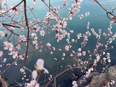 -颐和园