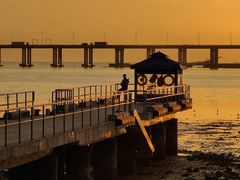 -宝安西湾红树林湿地公园