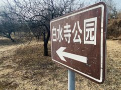 -白水寺森林公园