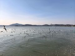 -蠡湖大桥公园