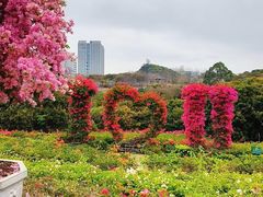 -东莞植物园