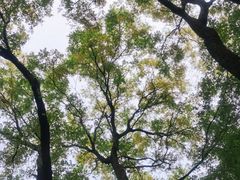 -玲珑塔公园