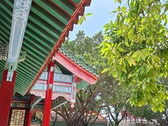 -广东圆玄道观