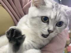 -无趣桌游狼人杀店