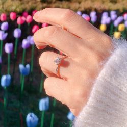 点击看大图 -Cindy Jewelry·钻戒·彩色宝石