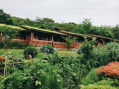 -东海半边山旅游度假区