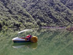 -白河湾生态旅游一条川
