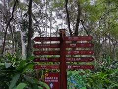 -广西壮族自治区药用植物园