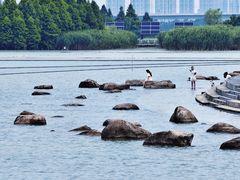 -滆湖低碳生态公园