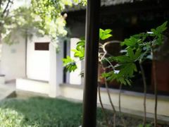 -金庸书院