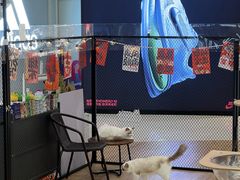 -星巴克(佛山顺德大融城店)