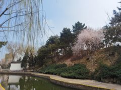 -团结湖公园